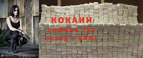 тгк Магадан