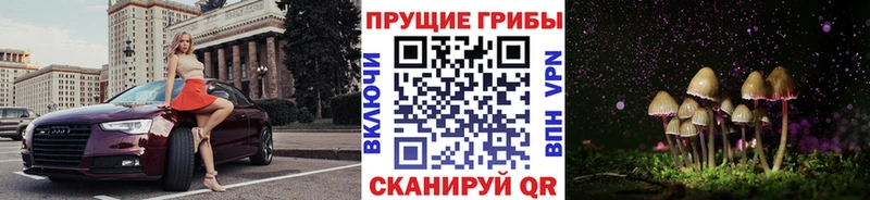 Псилоцибиновые грибы мицелий  магазин    omg вход  Заречный 