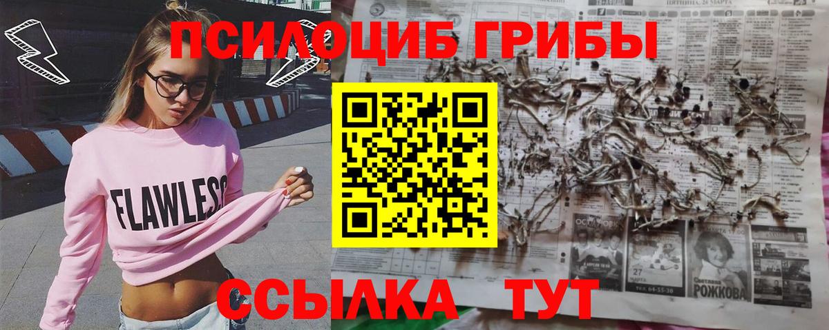 Заречный  Псилоцибиновые грибы ЛСД  Галлюциногенные грибы прущие грибы  купить наркотик  Вход с VPN 