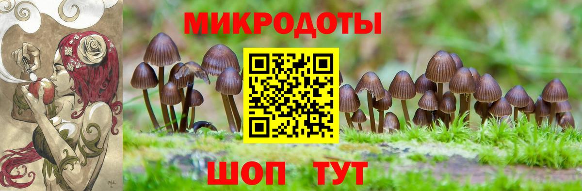 Галлюциногенные грибы Cubensis Заречный
