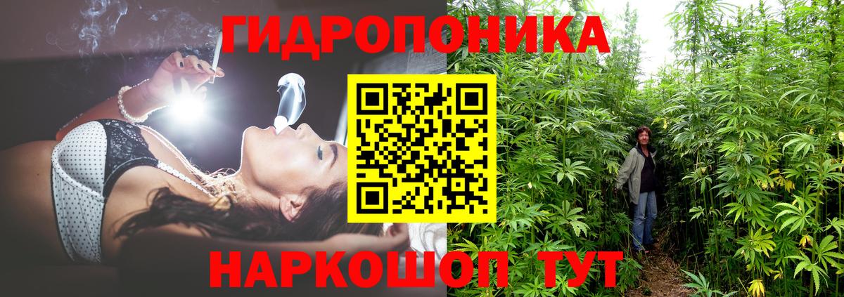 Бошки марихуана гибрид Заречный